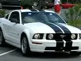 th_MVI_2342.webp