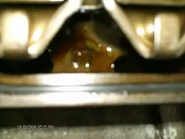1200799947.webp