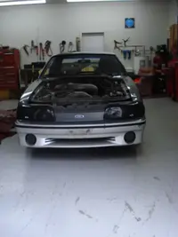 Mymustang01.webp