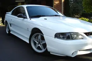 mustang003.webp