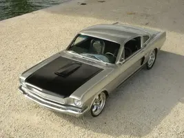Fastback19651-2.webp