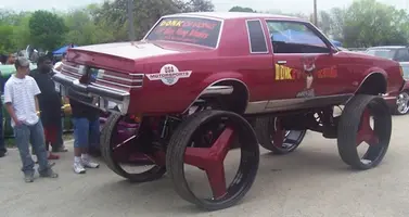 WildCar.webp
