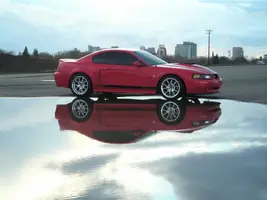 de1e275e.webp