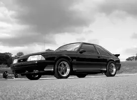 blackandwhite.webp