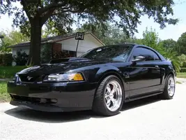 black002.webp