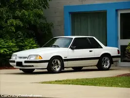 carcrazy_radB821_large.webp