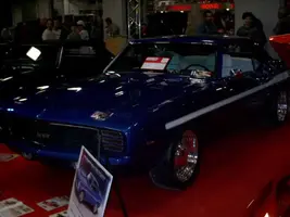 IMAG0167.webp