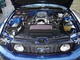 WMSFront.webp