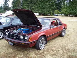 foureyedarlington018cv1.webp
