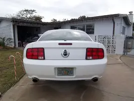101_0652.webp