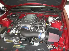 mustang001.webp