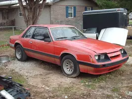 stang1.webp