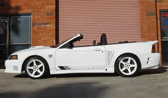 saleen.webp