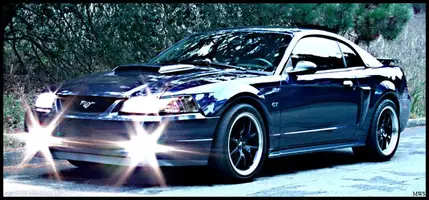 Mustanglightscopy.webp