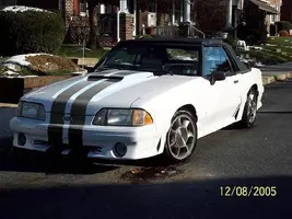 white-gt-chop2-1.webp