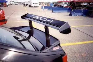 Wing1.webp