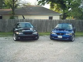 bb1.webp