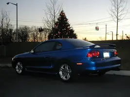 xmastree6.webp
