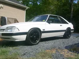 Mustang013.webp