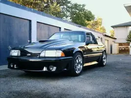 stang001pz9.webp