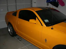 DSCN6737.webp