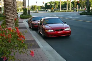 IMG_0310cleanResized.webp