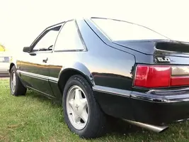 car025.webp
