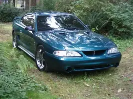 stang2.webp