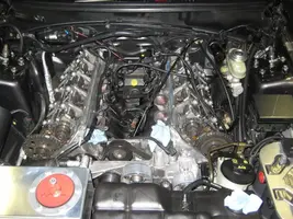 NewBlower014.webp