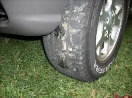 DSCN0250.webp