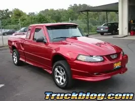 rangstang_sized.webp