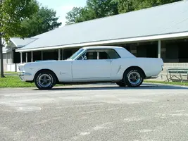 DSCF2276.webp