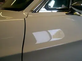SV400612.webp