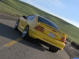back2_lg.webp
