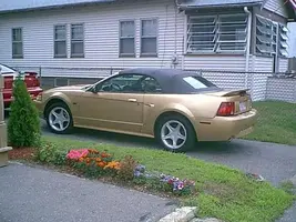 wendy's beater.webp