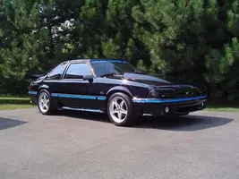 Stang 11.webp