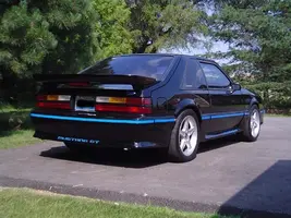 Stang 12.webp