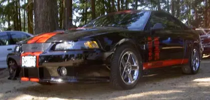 black stang 1.webp
