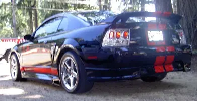 black stang 2.webp