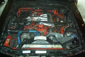 Bay3.webp