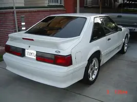 fox 01 2.webp