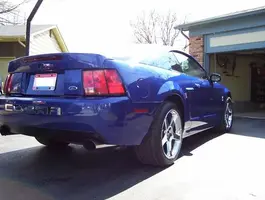 cobra33.webp