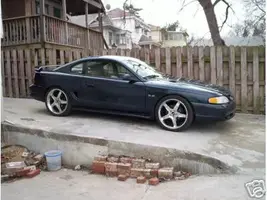 cobra dubs.webp