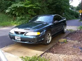 STANG-2.webp