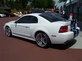 cobra dubs.webp
