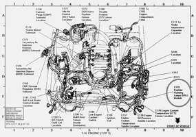 5.0L Engine (3 of 3) C170 circled (DRL module).webp