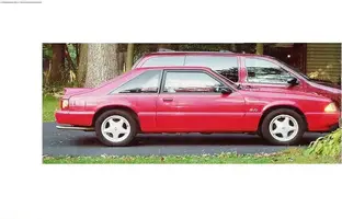 my baby.webp