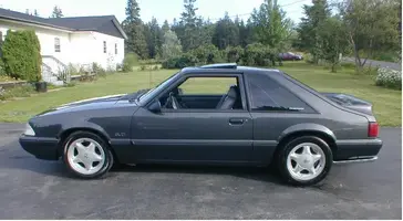 stang1.webp