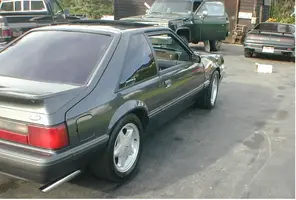 stang2.webp