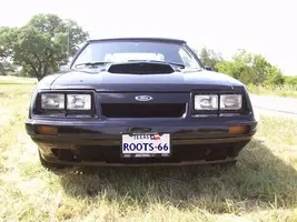 mustang-F.webp